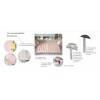 Lit bureau escamotable PERSONNALISABLE F416 - GLICERIO