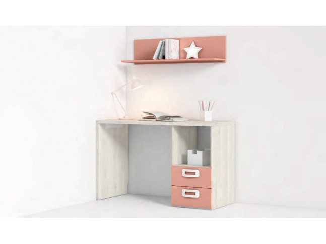 Bureau de 120 cm avec bas 2 tiroirs Z02 - EXOJO