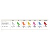 Chambre enfant PERSONNALISABLE LH24 lits superposés en mezzanine - MORETTI COMPACT