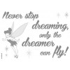 Stickers muraux Never stop dreaming - Panoramique Disney - KOMAR