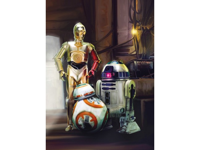  Poster XXL Star Wars 3 Droïdes - Panoramique - KOMAR